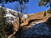 Sulle nevi del PASSO SAN MARCO e di CIMA VALLE ad anello il 9 marzo 2022 - FOTOGALLERY"